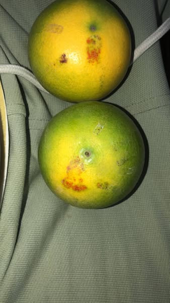 السلام عليكم ورحمة الله وبركاته   لو سمحتم يجماعه عايز أعرف اسم المرض ده ايه   وأيه لعلاج